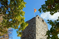 DSC0811