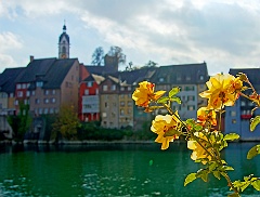 laufenburg01