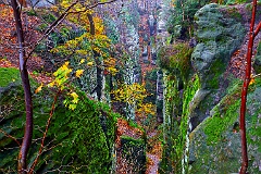Elbsandstein 99 0251