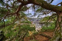 Elbsandstein 99 0865
