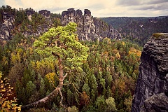 Elbsandstein 99 9560