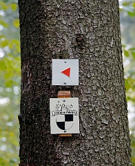 Der Weg zur Burg