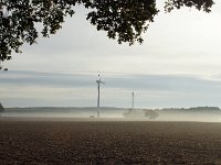 DSC01342