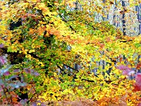 DSC01400