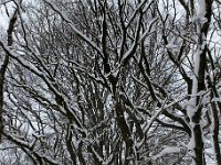 DSC04904