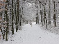 DSC00439