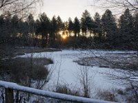 DSC00120