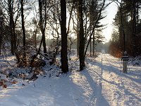 DSC05570
