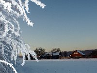 DSC05684