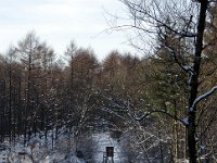 DSC05756