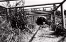 FilmO26